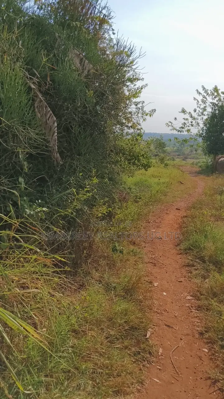 Land for Sale – Gayaza–kalagyi Road, Namalili