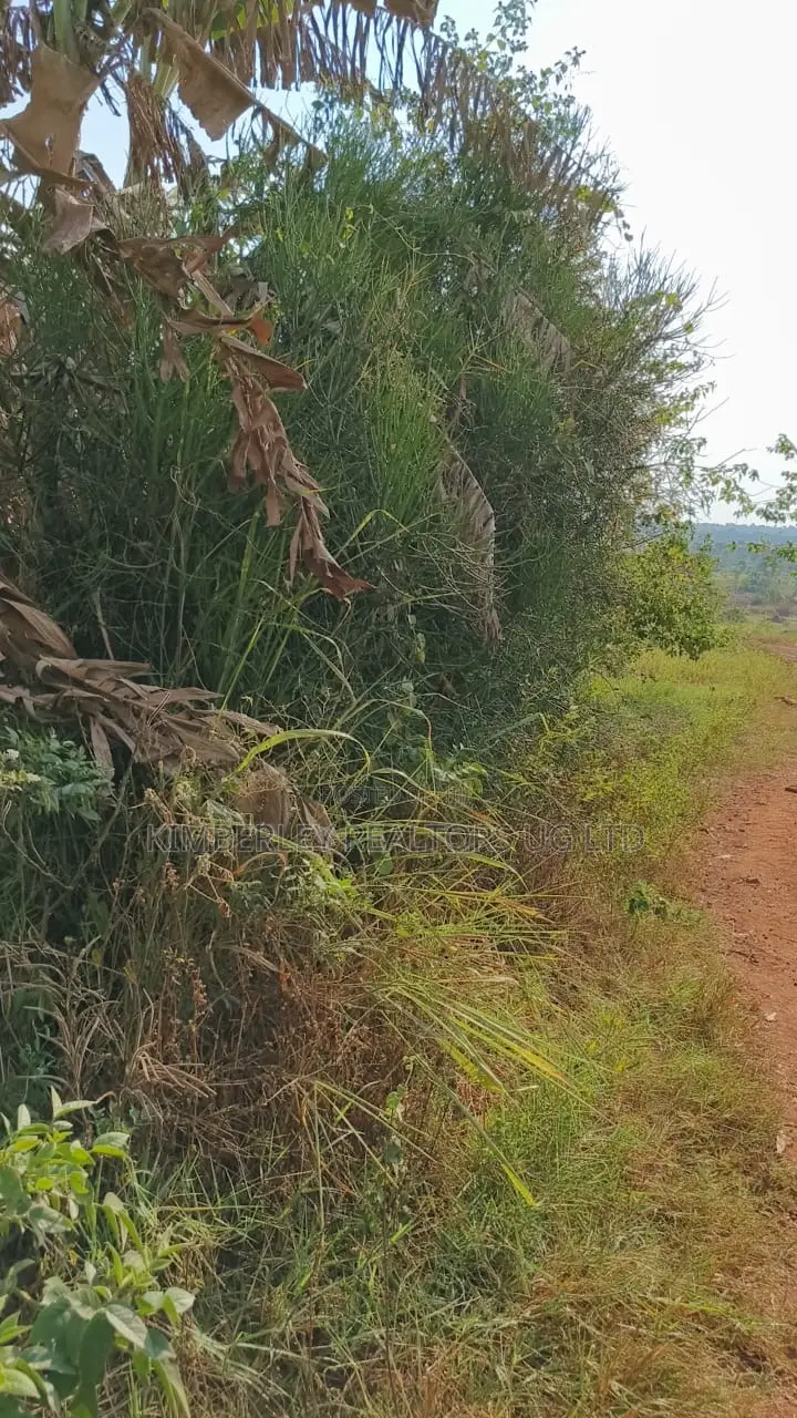 Land for Sale – Gayaza–kalagyi Road, Namalili