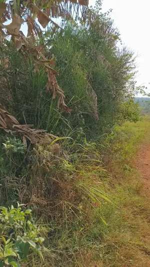 Land for Sale – Gayaza–kalagyi Road, Namalili