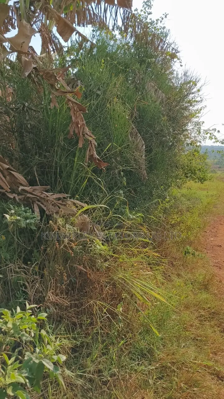Land for Sale – Gayaza–kalagyi Road, Namalili
