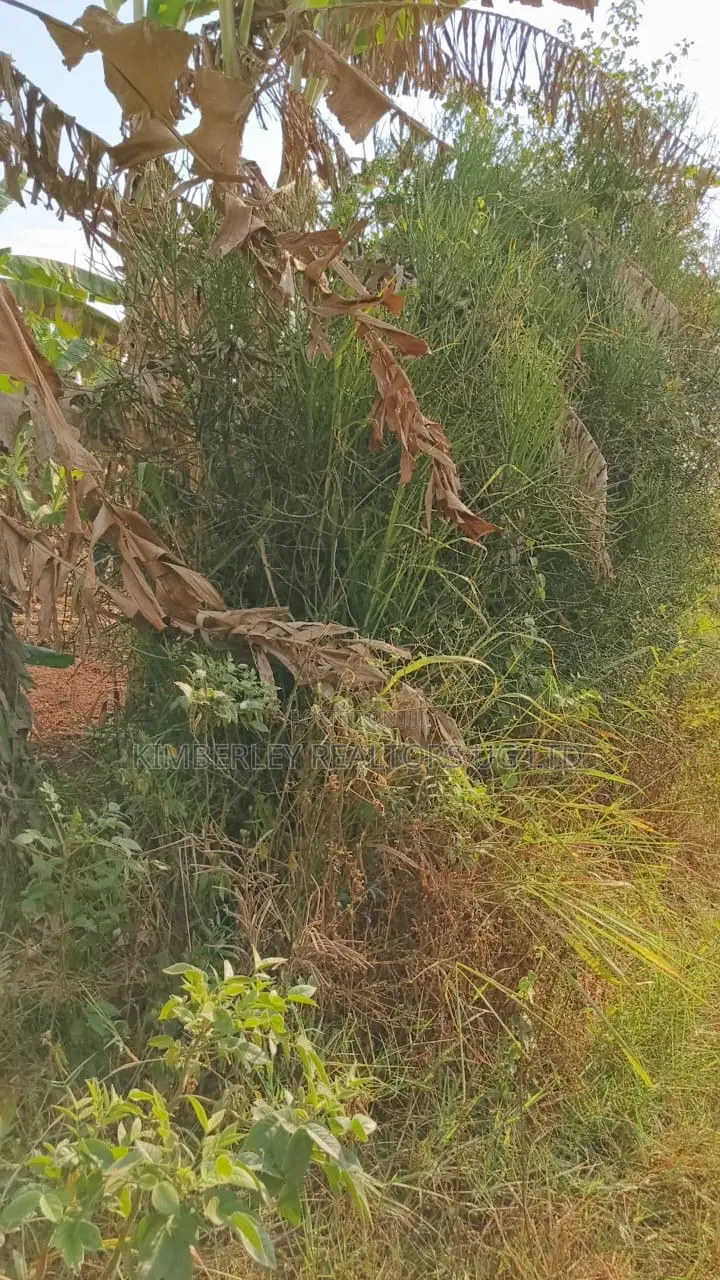 Land for Sale – Gayaza–kalagyi Road, Namalili