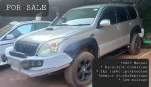 Toyota Land Cruiser 2009 Silver