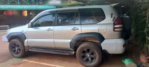 Toyota Land Cruiser 2009 Silver