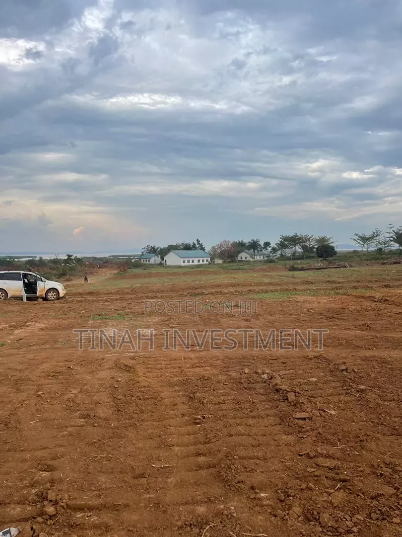 50*100ft Titled Plots