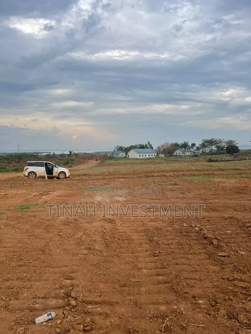 50*100ft Titled Plots