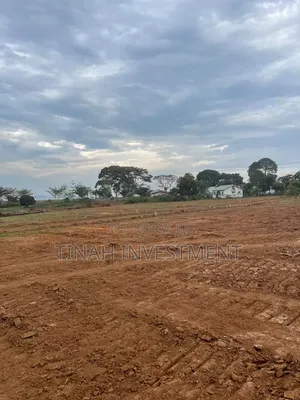 50*100ft Titled Plots