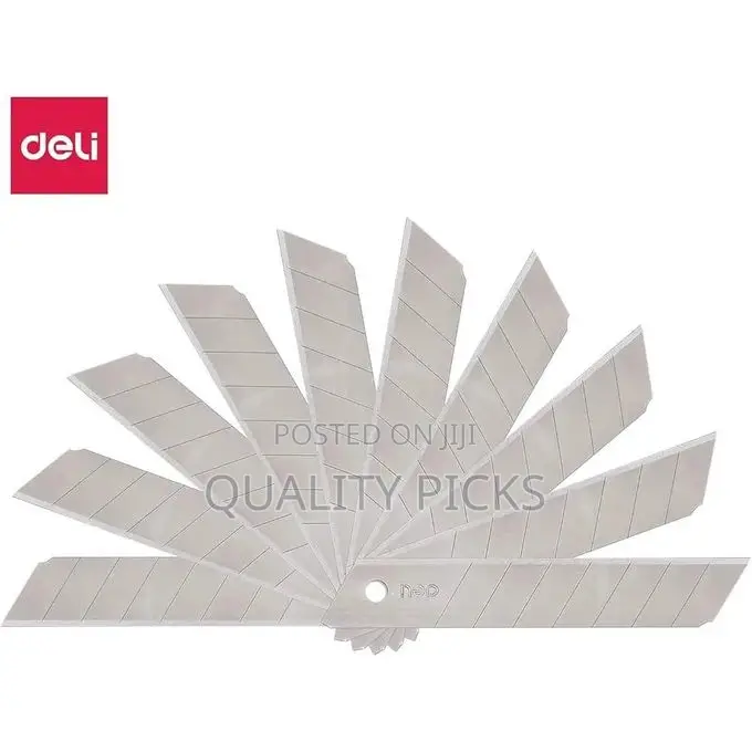 10-Pieces Stainless Steel Cutting Knife Blade