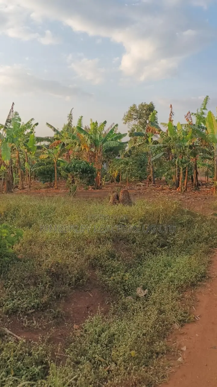 Land for Sale – Gayaza–kalagi Road, Namalili