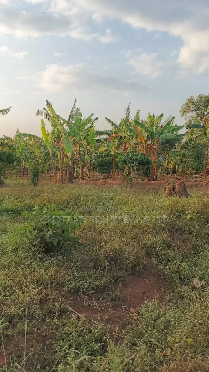 Land for Sale – Gayaza–kalagi Road, Namalili