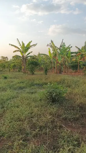 Land for Sale – Gayaza–kalagi Road, Namalili