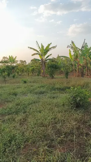 Land for Sale – Gayaza–kalagi Road, Namalili