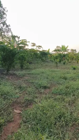 Land for Sale – Gayaza–kalagi Road, Namalili