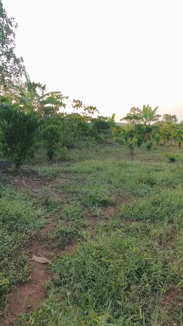 Land for Sale – Gayaza–kalagi Road, Namalili