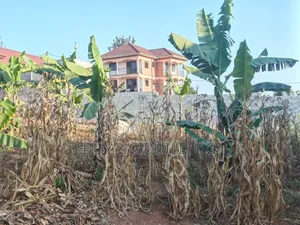Hot Deal Plot for Sale at Seeta_Bajjo (50ft*100ft) 57M UGX