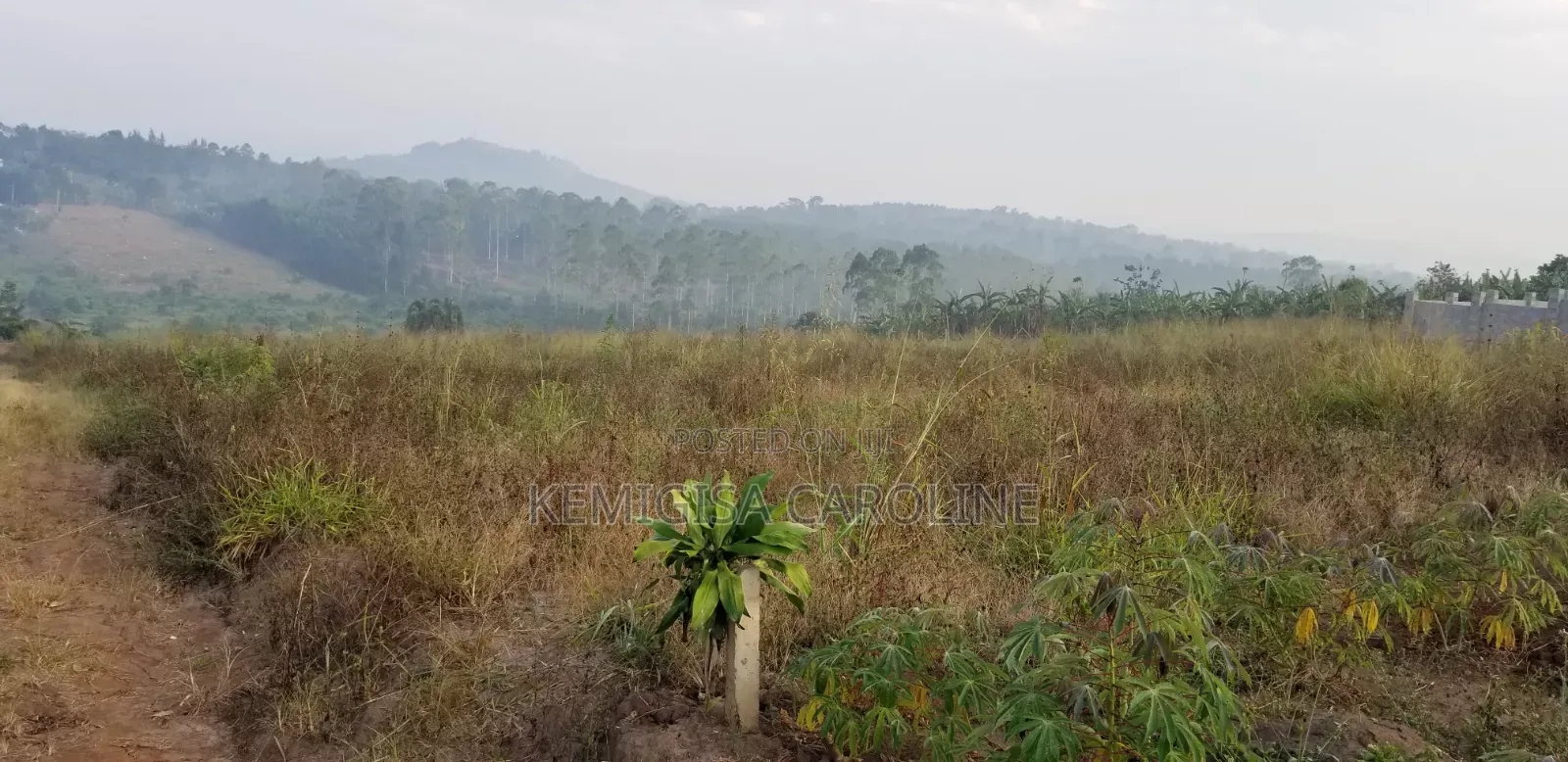 50 X 100FT Titled Plot for Sale in Bulamu
