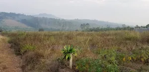 50 X 100FT Titled Plot for Sale in Bulamu