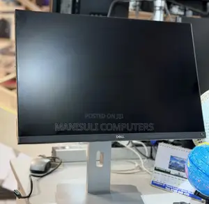 Dell 24 Inch Screen IPs