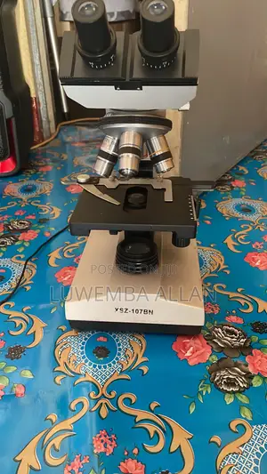 Microscope