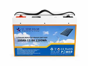 100A 12V Lithium Battery