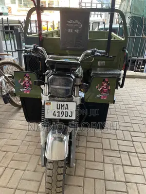 New Tricycle 2025 Green