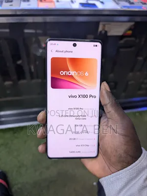 Vivo X100 Pro 256 GB Black