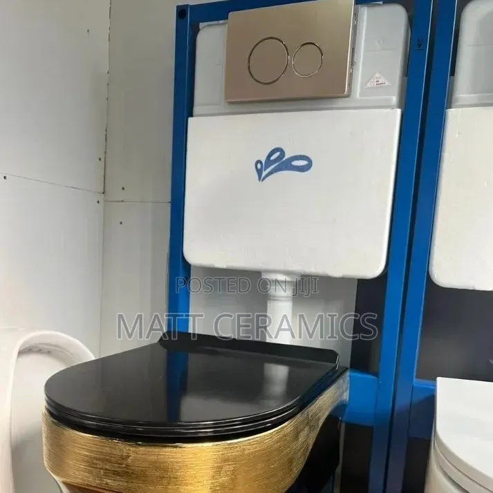 Black and Gold Concealed Toilet