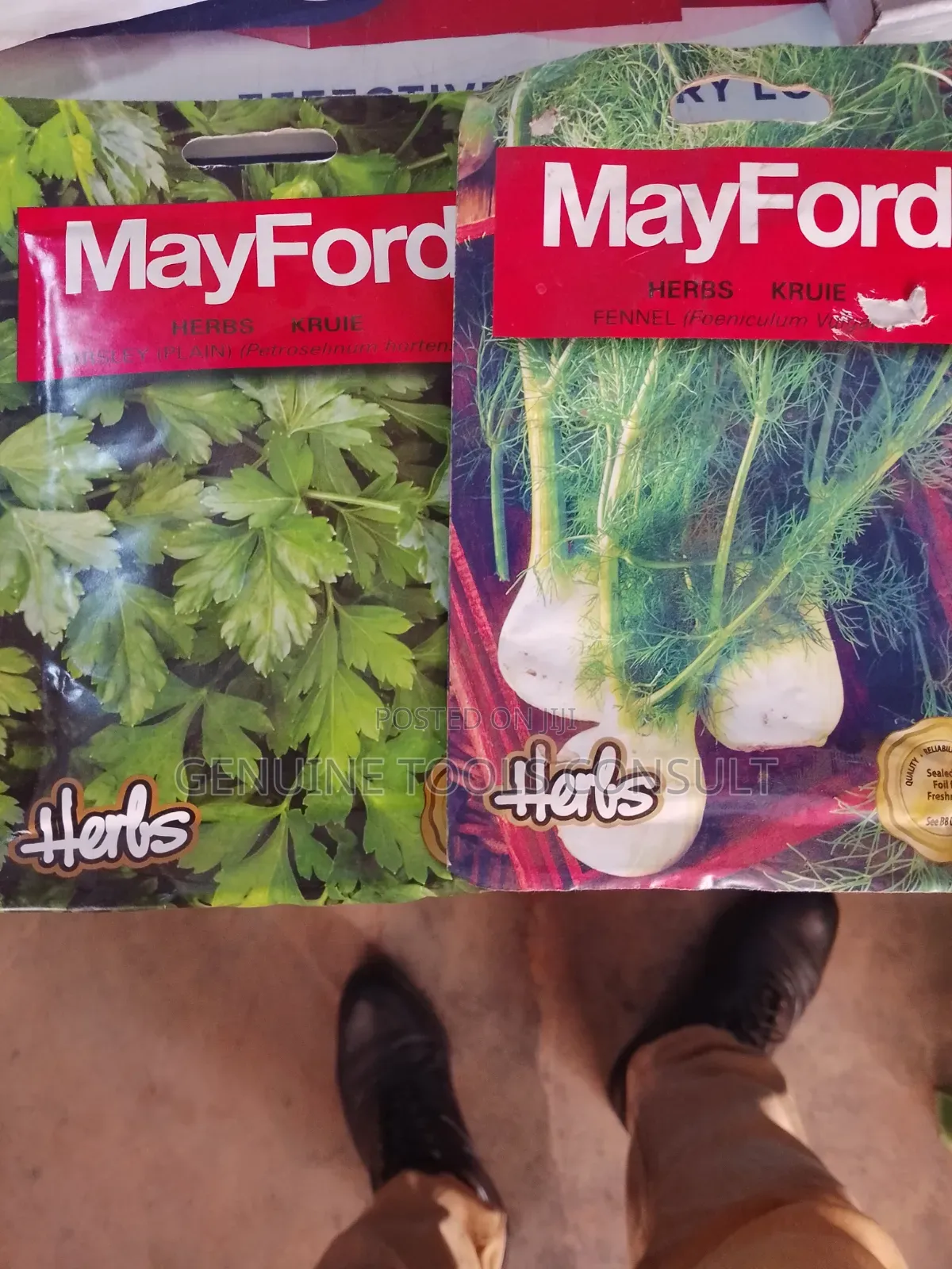 Celery, Oregano, Fennel, Wild Rocket,Catnip, Parsley