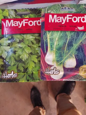 Celery, Oregano, Fennel, Wild Rocket,Catnip, Parsley