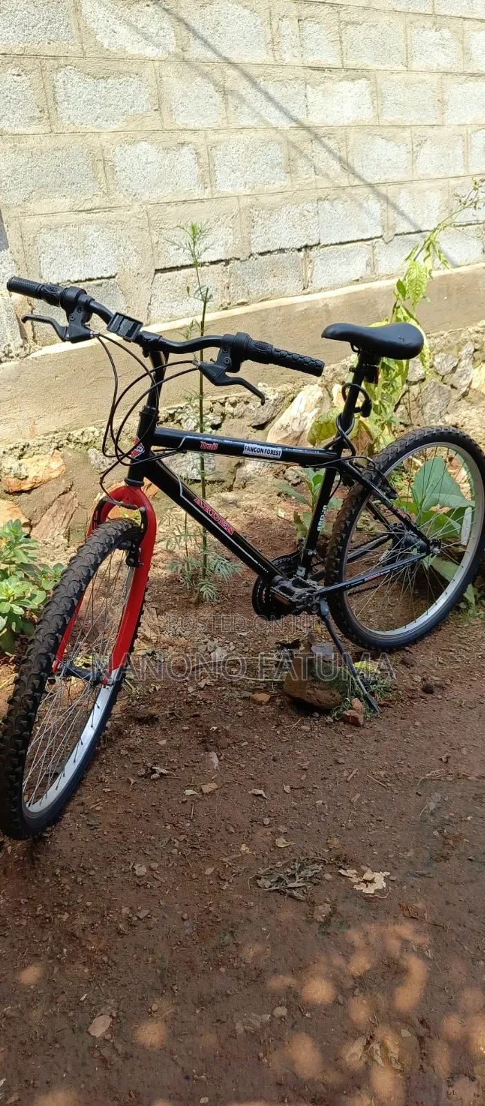 Mountain Bike Bicycle