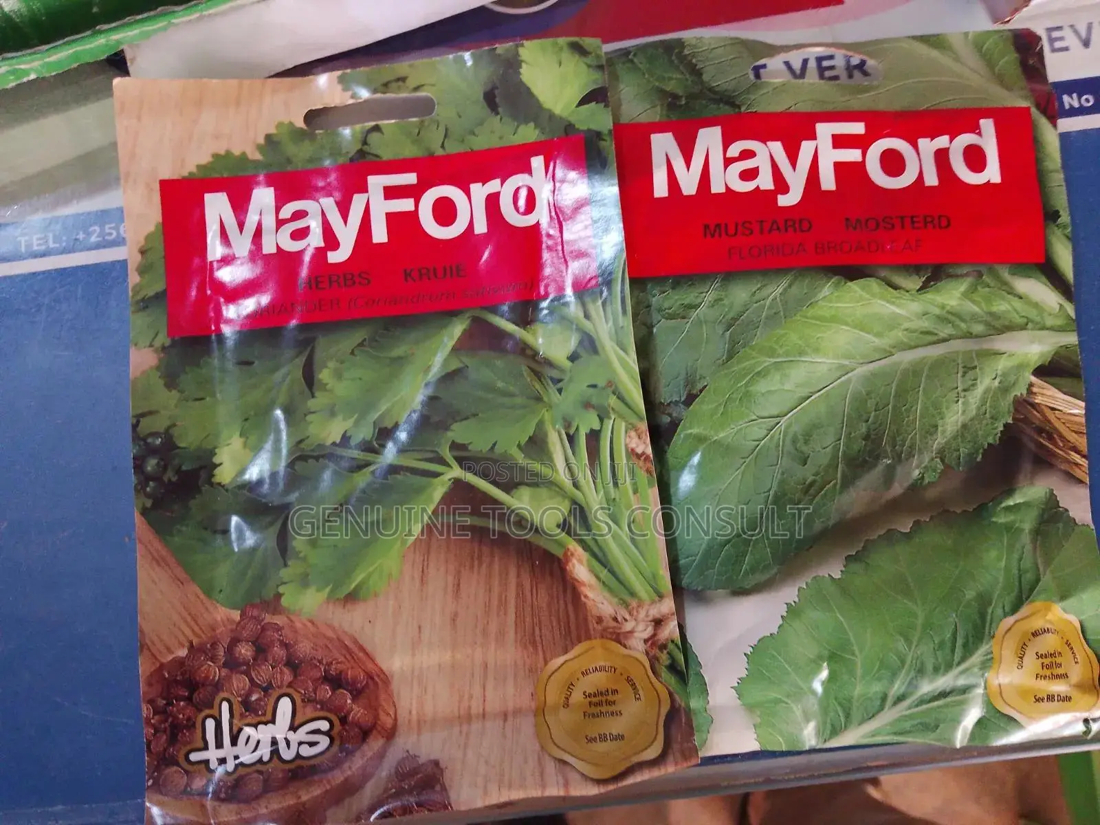 Celery, Oregano, Fennel, Wild Rocket,Catnip, Parsley