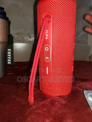 JBL Flip 6