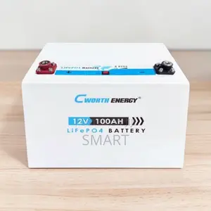 Cworth 100Ah Lithium Battery – Long Life Solar Power Storage