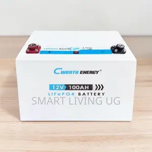 Cworth 100Ah Lithium Battery – Long Life Solar Power Storage
