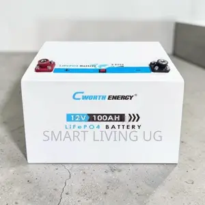 100Ah Cworth LiFePO4 Battery – Fast Charging Deep Cycle