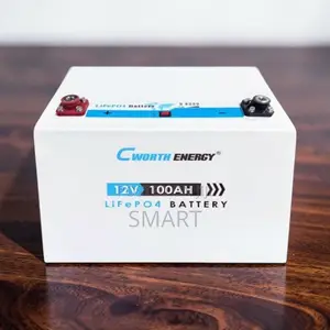 Cworth 100Ah Lithium Solar Battery – Reliable Backup Power