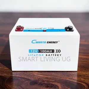 Cworth 100Ah Lithium Solar Battery – Reliable Backup Power
