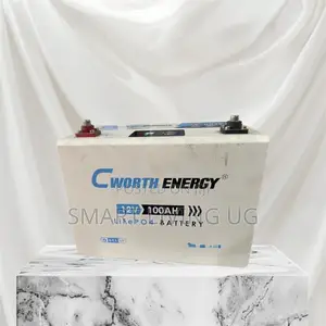 Cworth 100Ah Rechargeable Lithium Battery – High Performance