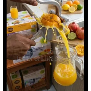 Heavy-Duty Manual Fruit Press Juicer