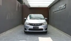 Toyota Corolla Fielder 2013 Silver
