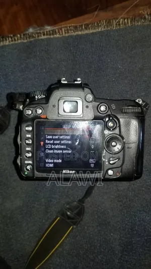 Nikon D7000 Bag Is Free and Battery Charger and One Lenses