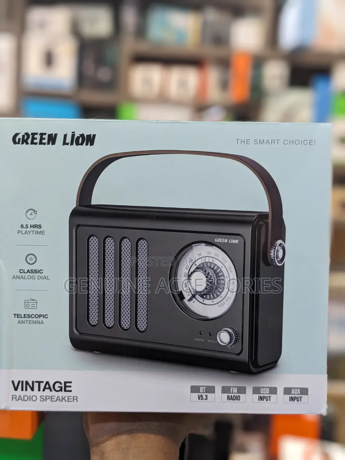Green Lion Vintage Radio With FM