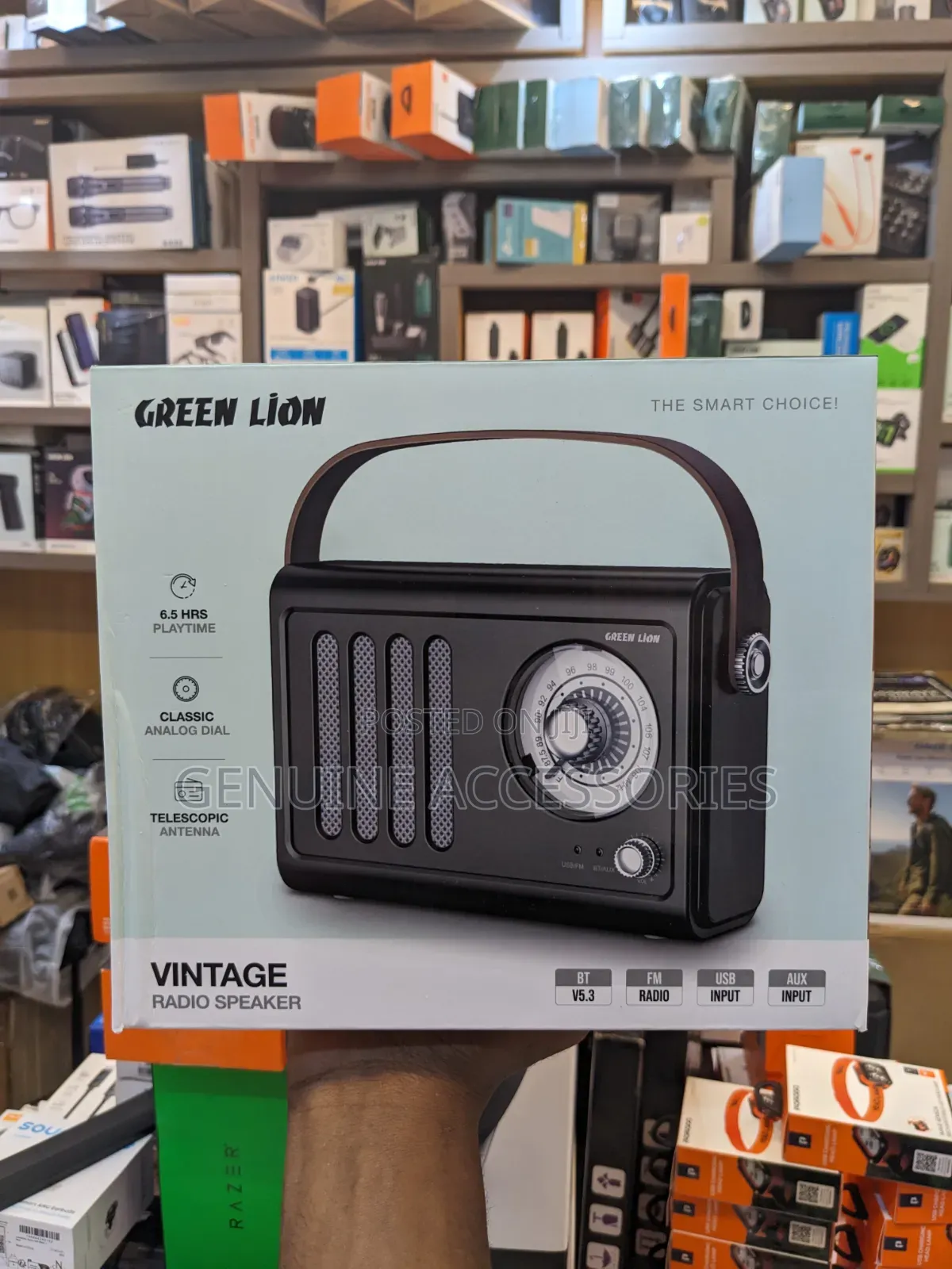 Green Lion Vintage Radio With FM