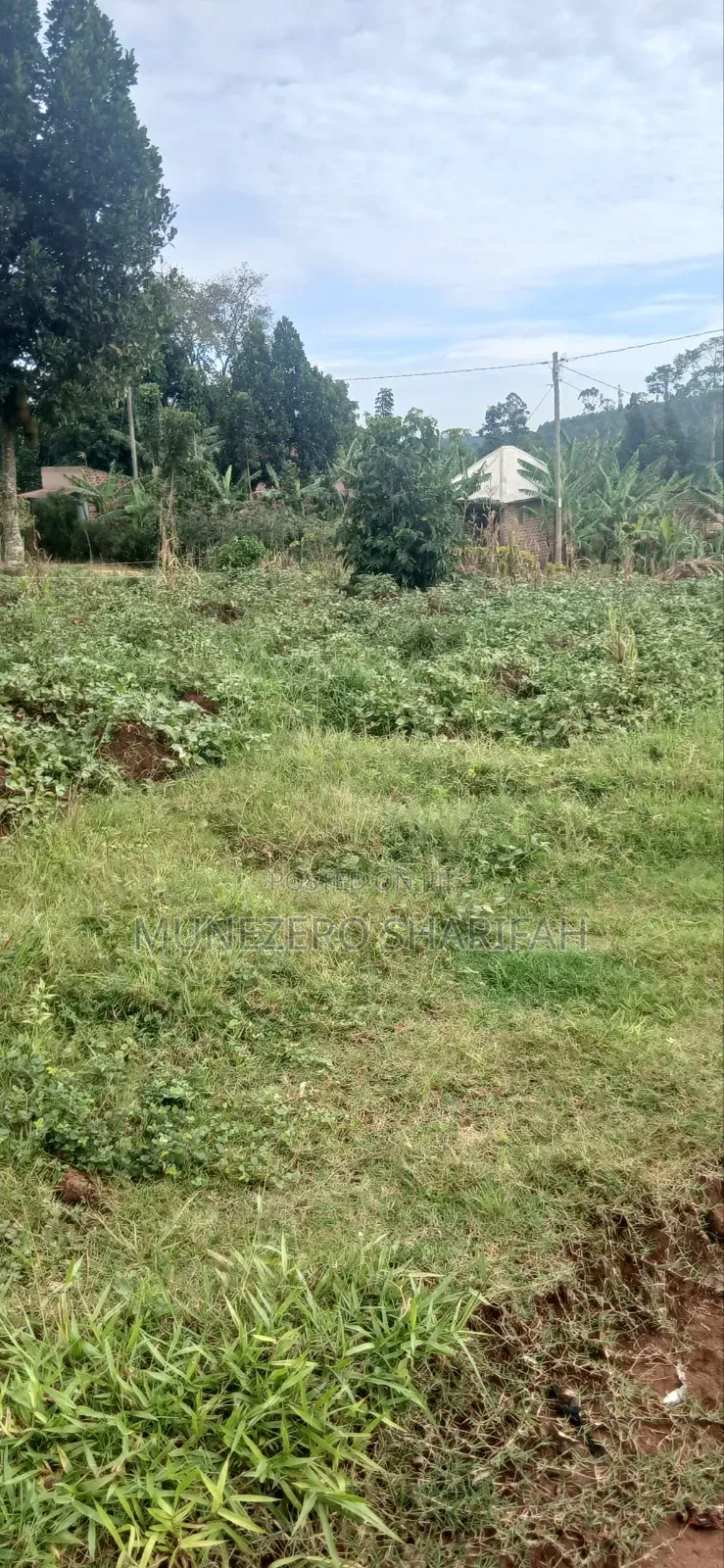 Wakiso Mende Mubuga Plots