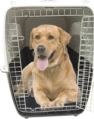 Dog Crate Kennel Dogs Portable Travel Pet Carrier Bed