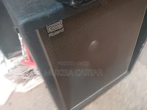 Roland Combo Bass