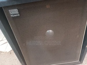 Roland Combo Bass