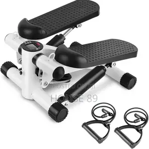 Generic 2 in 1 Mini Stepper
