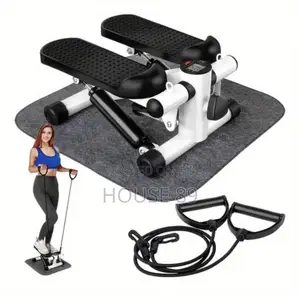 Generic 2 in 1 Mini Stepper