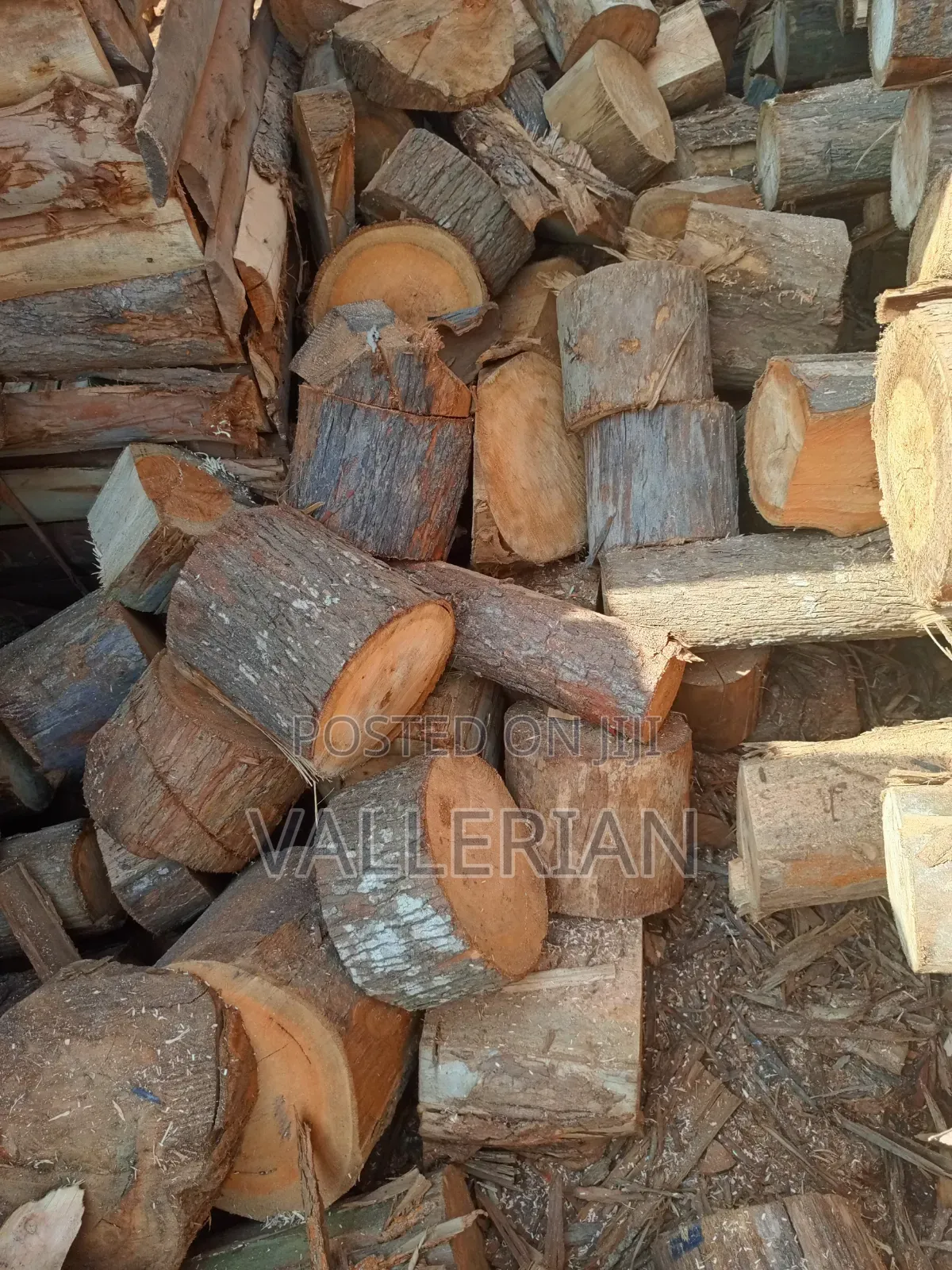 Firewood for Sell