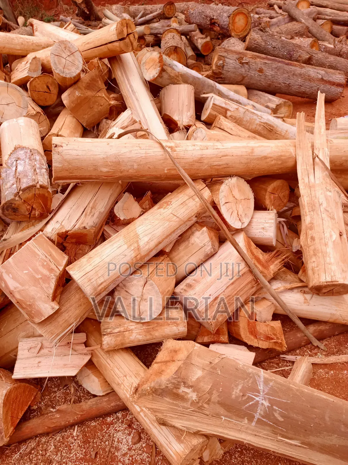 Firewood for Sell